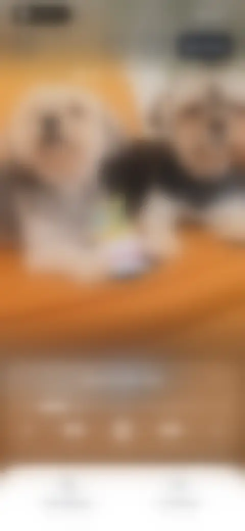 Locked screen preview
