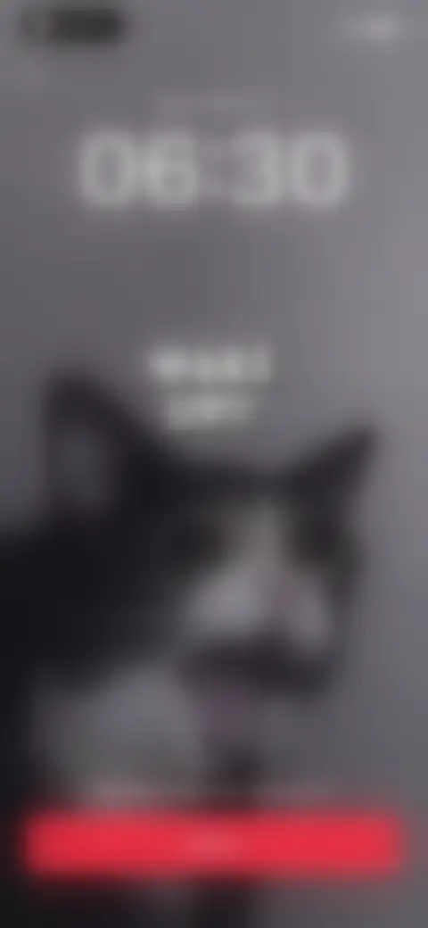 Locked screen preview
