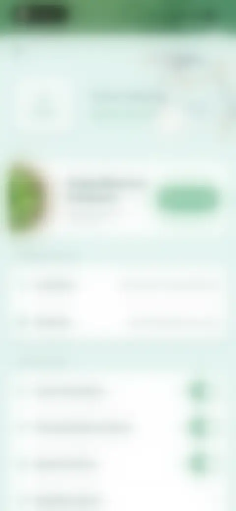 Locked screen preview