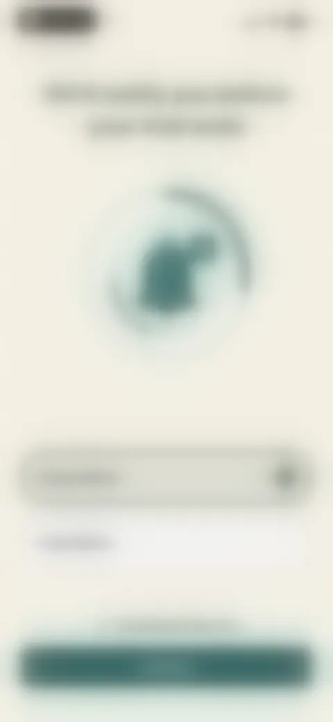 Locked screen preview