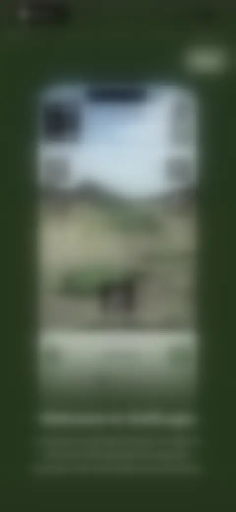 Locked screen preview