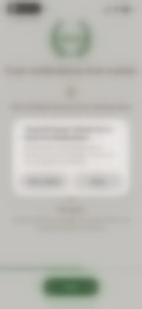 Locked screen preview