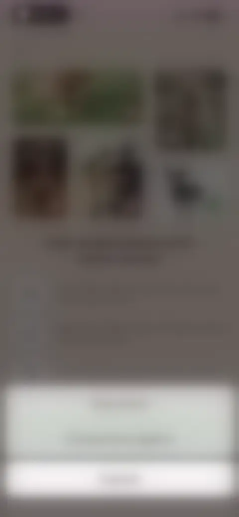 Locked screen preview