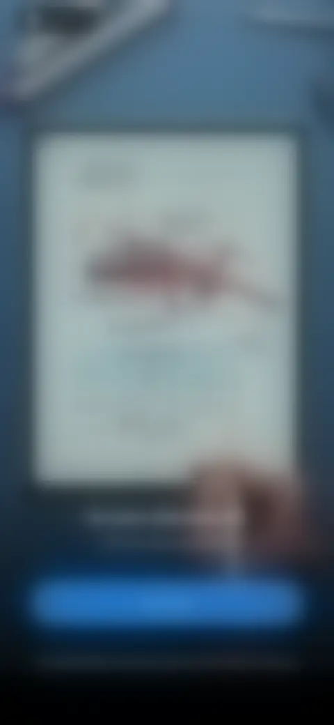 Locked screen preview