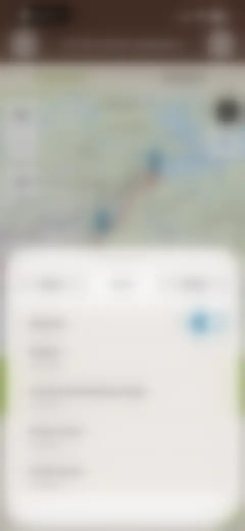 Locked screen preview