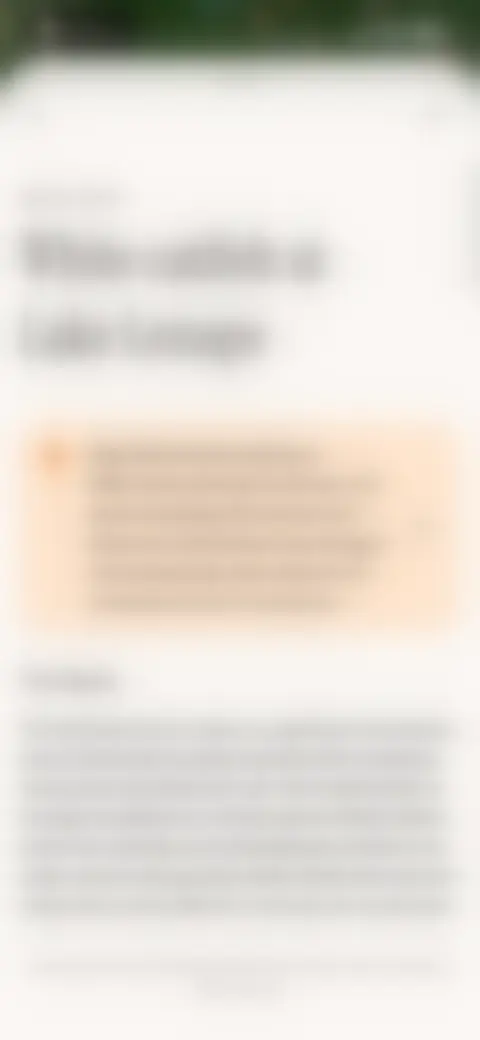 Locked screen preview