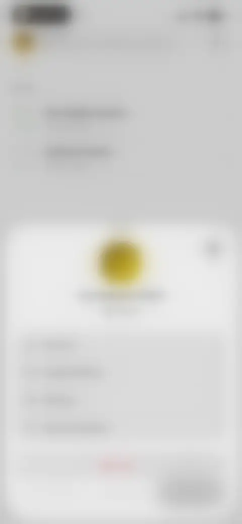 Locked screen preview