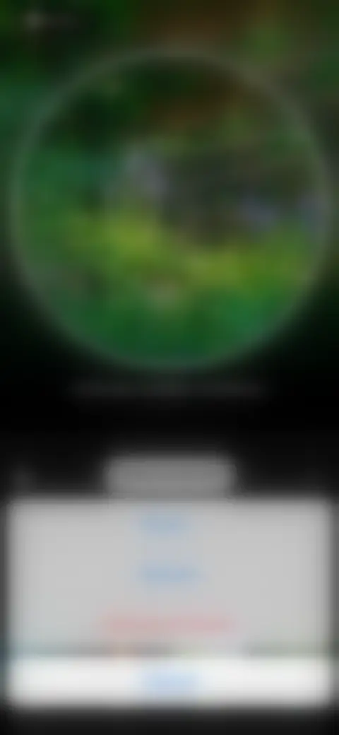 Locked screen preview