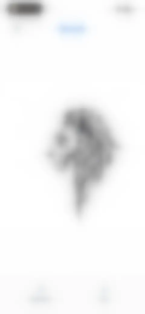 Locked screen preview