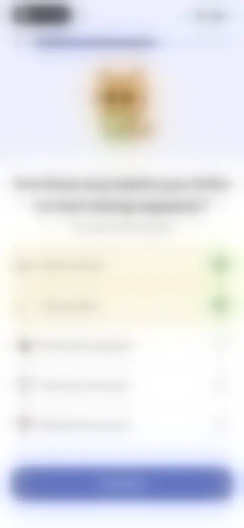 Locked screen preview