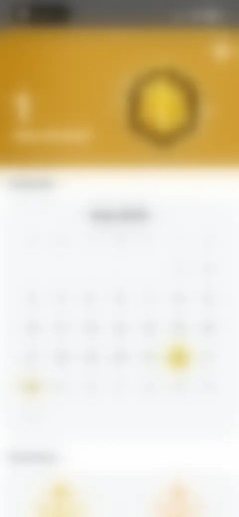 Locked screen preview