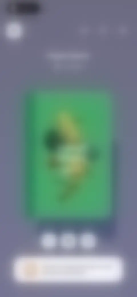 Locked screen preview