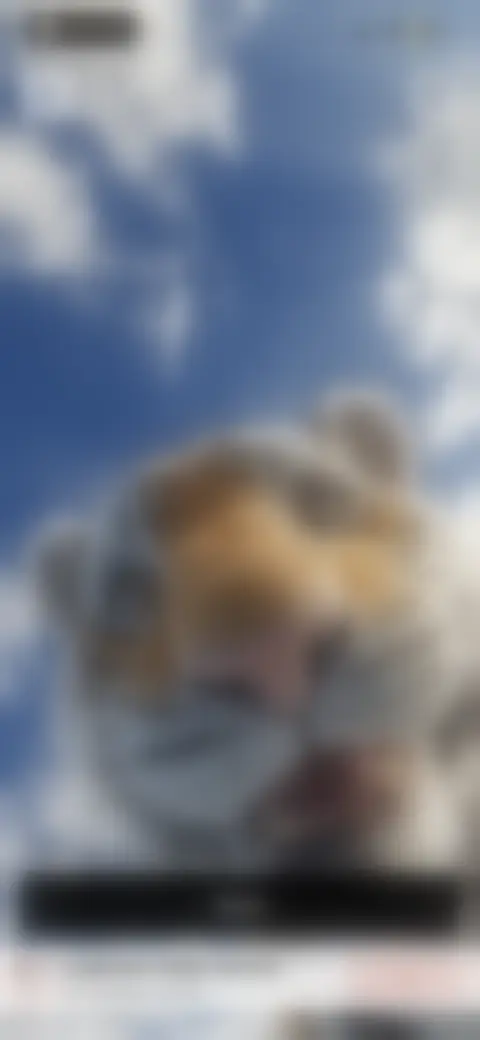 Locked screen preview