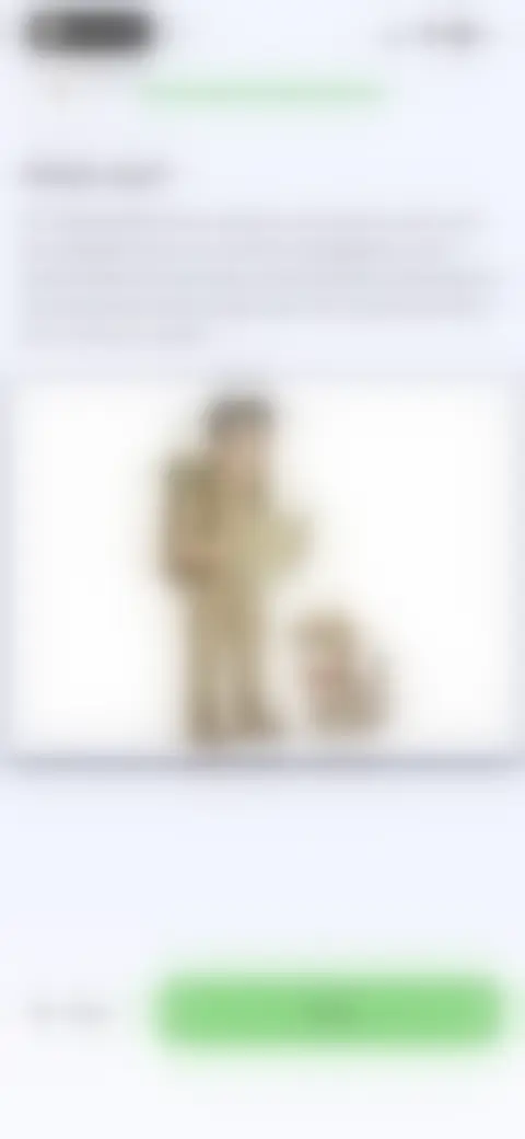 Locked screen preview
