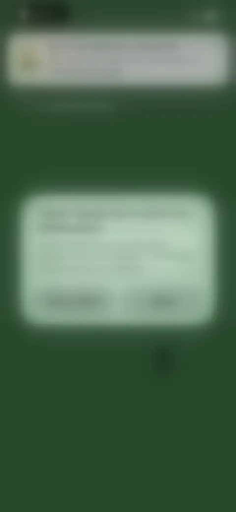 Locked screen preview