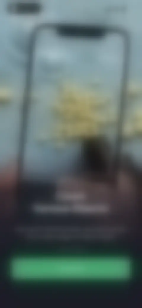 Locked screen preview