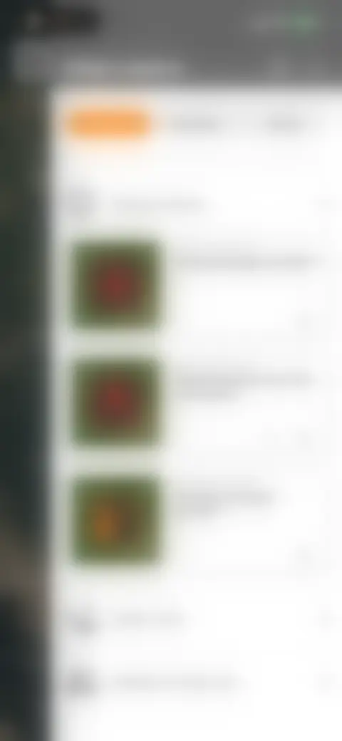 Locked screen preview