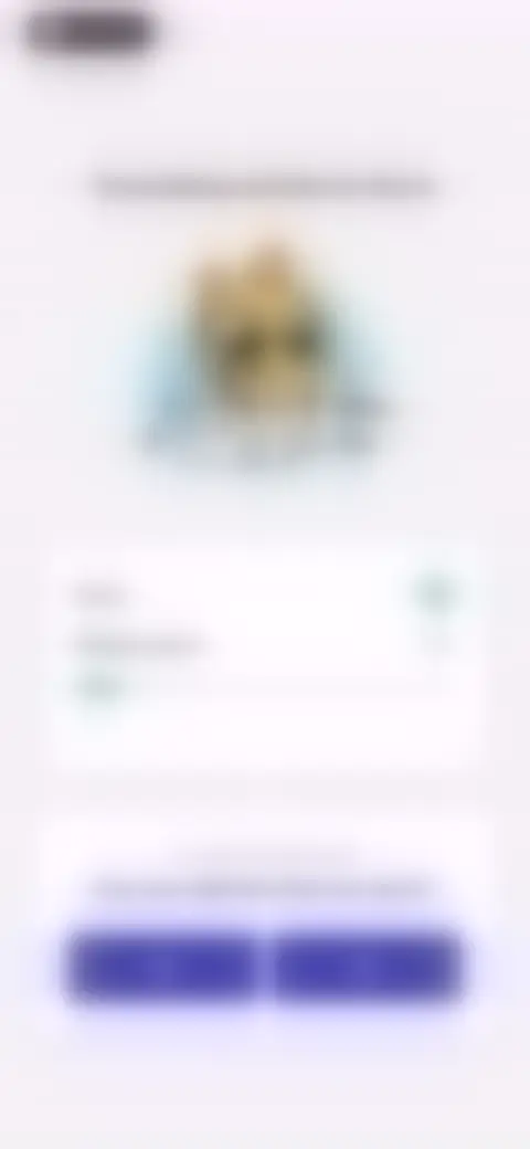 Locked screen preview