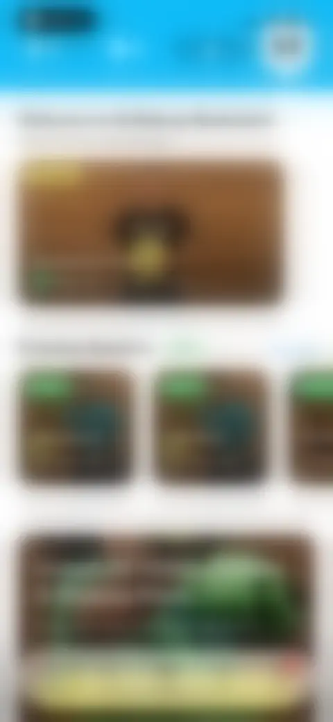 Locked screen preview