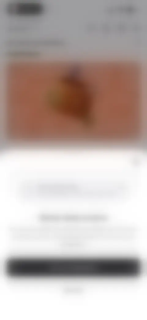 Locked screen preview