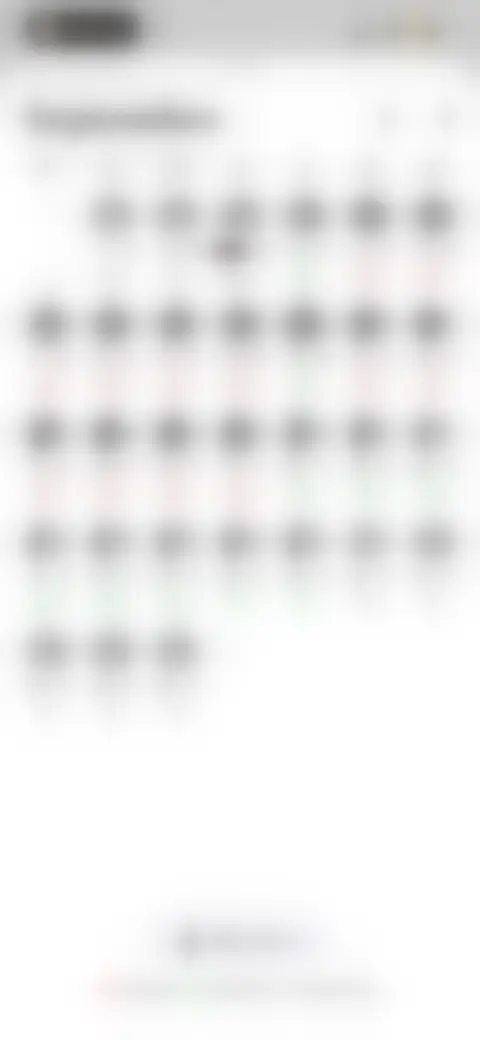 Locked screen preview