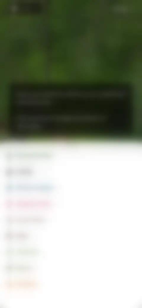 Locked screen preview