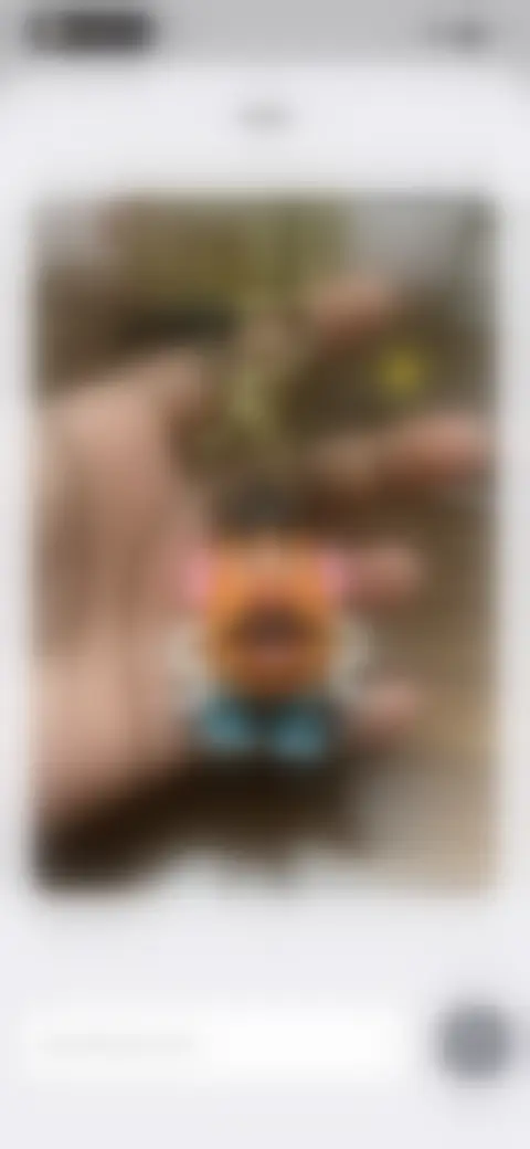 Locked screen preview
