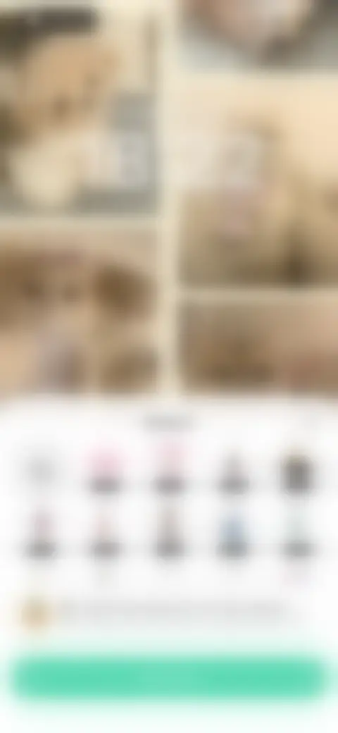 Locked screen preview