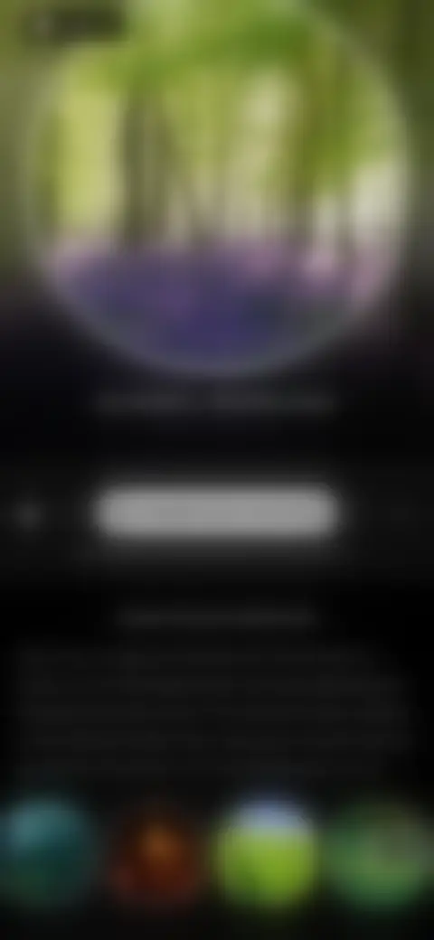 Locked screen preview