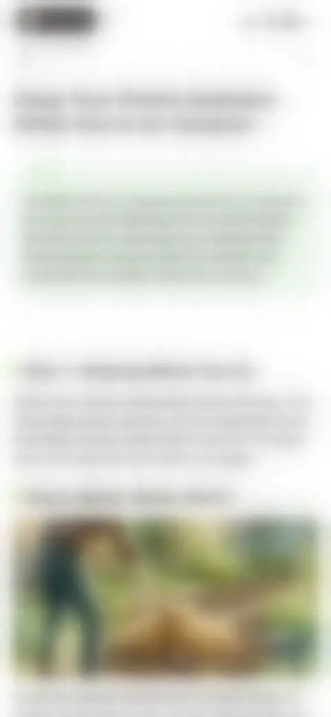 Locked screen preview