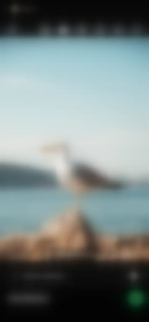 Locked screen preview