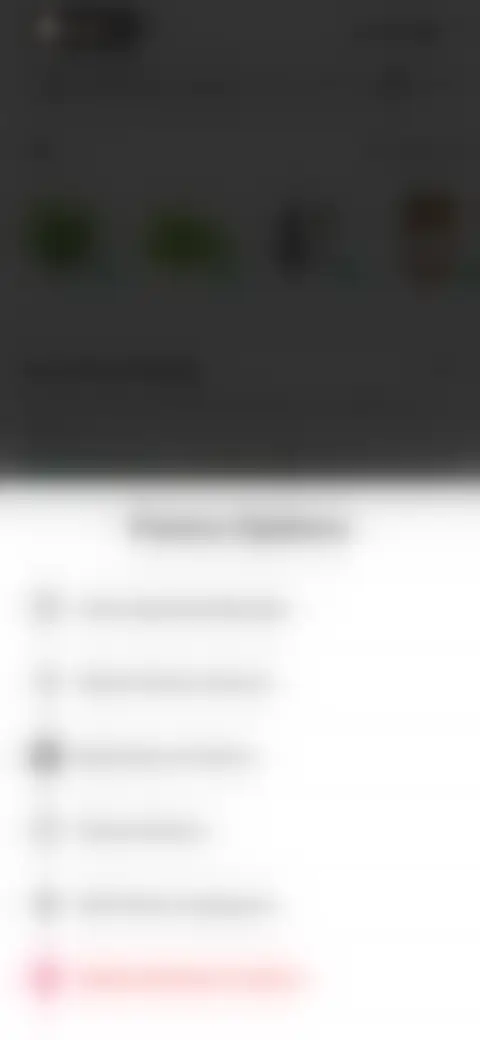 Locked screen preview
