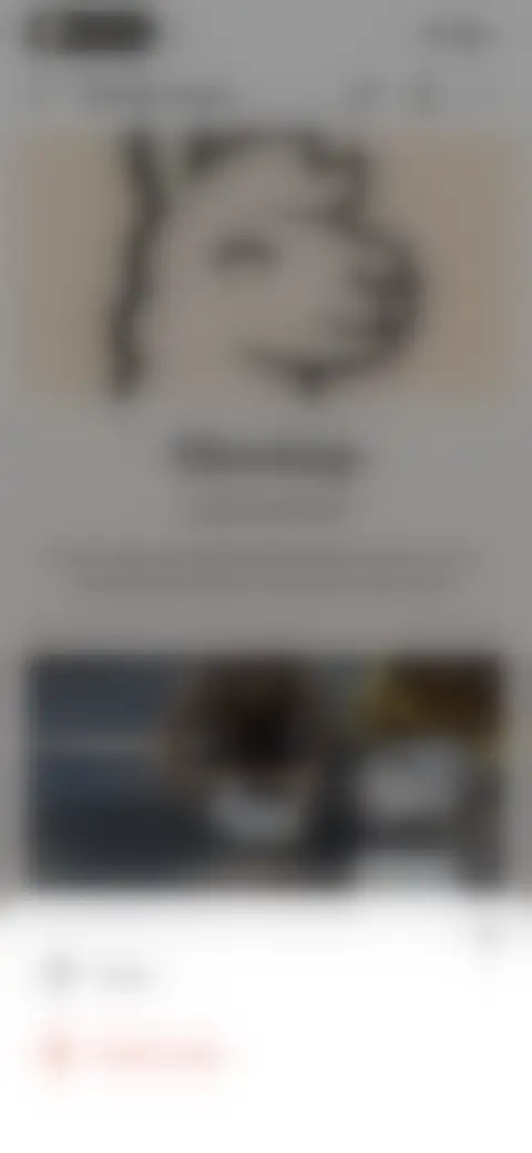 Locked screen preview