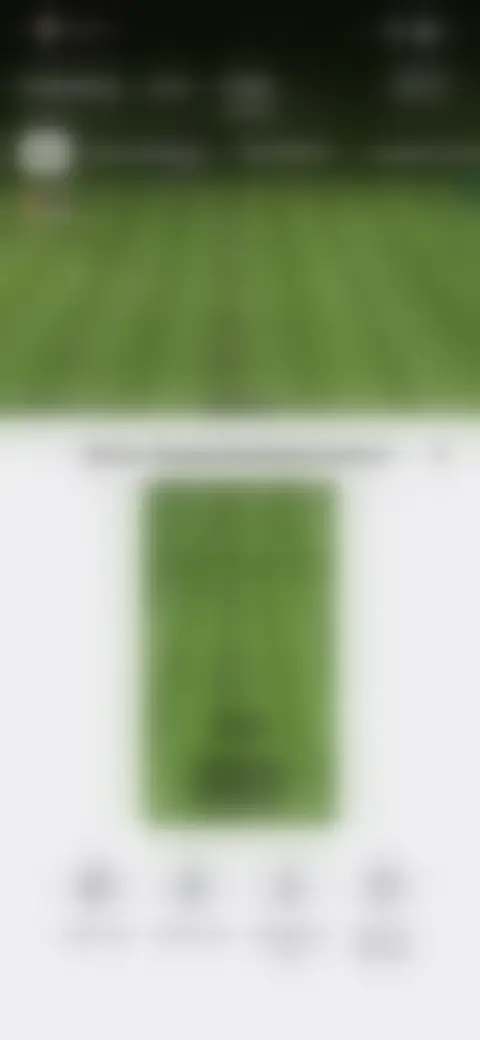 Locked screen preview