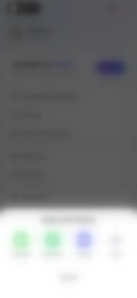 Locked screen preview
