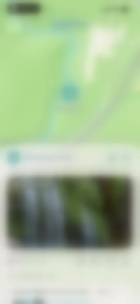 Locked screen preview